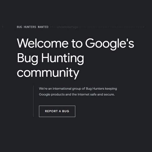 Google Bug Hunter